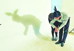 两人影子图片,揭秘两人影子背后的故事